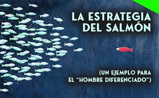 ignacio_vlldld's tweet image. 