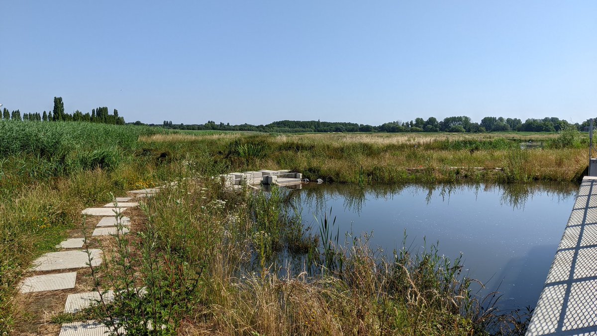 Michaël Van  Rompaey tweet media