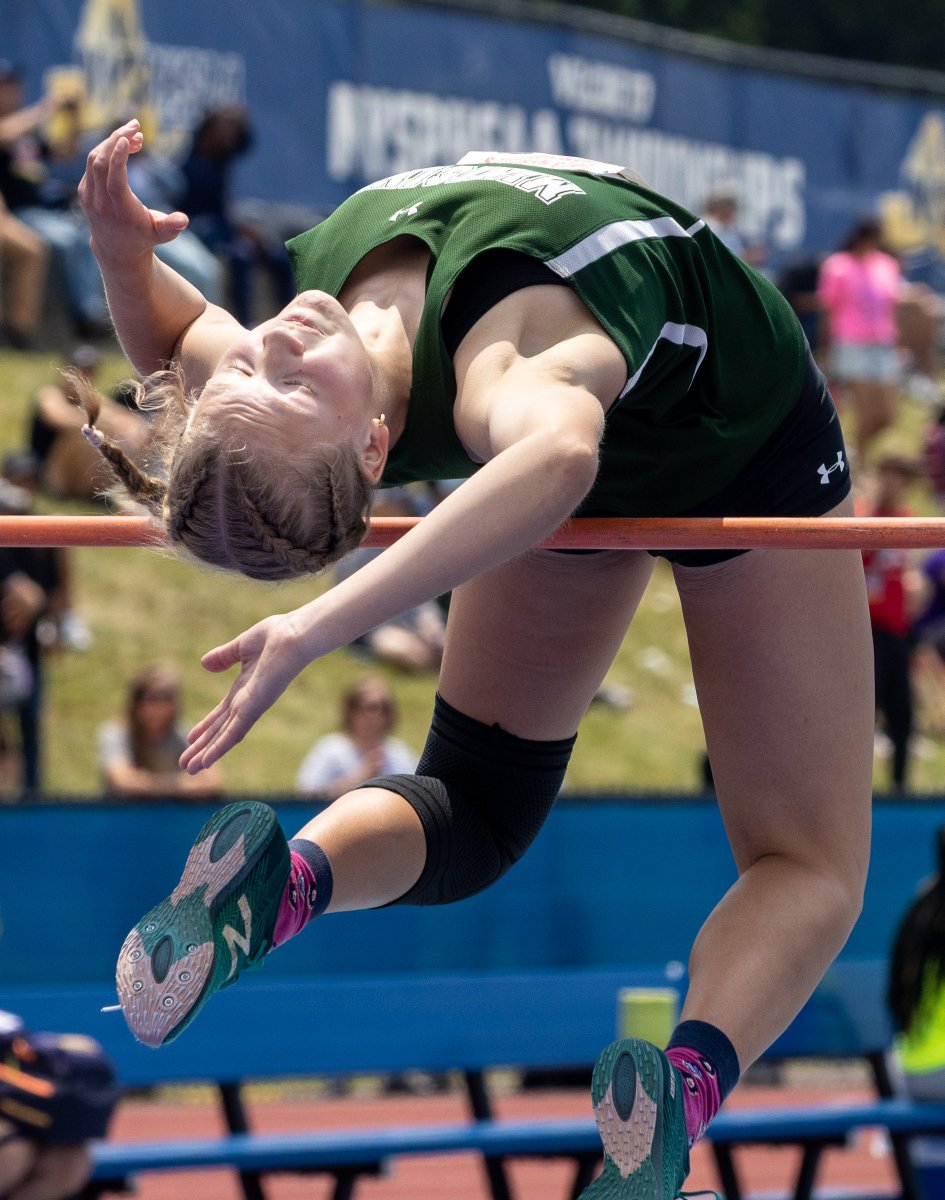 Tom Bushey tweet media