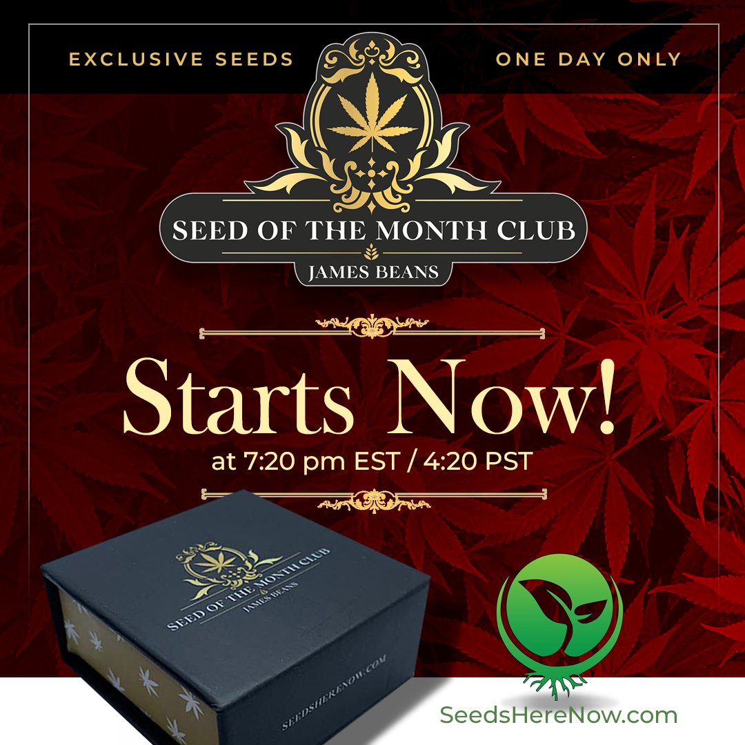 What we’re presenting here is no ordinary club, but a veritable Willy Wonka’s factory of rare and exclusive cannabis seeds - AND IT STARTS NOW: bit.ly/3Jhq71S

#Cannabis #cannabislife #420community #420friendly #420Life #cannabisgrowers #seedsherenow #Bitcoin #Crypto