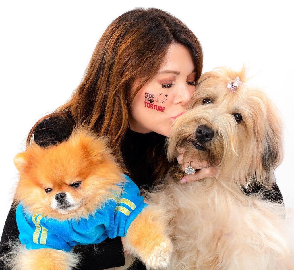 Thousands of dogs are tortured and eaten in the horrific dog meat trade annually around the world. We vow to do everything we can to put a stop to it. Join our Fight to #StopTheTorture at vanderpumpdogs.org/stop-the-tortu… #StopYulinForever