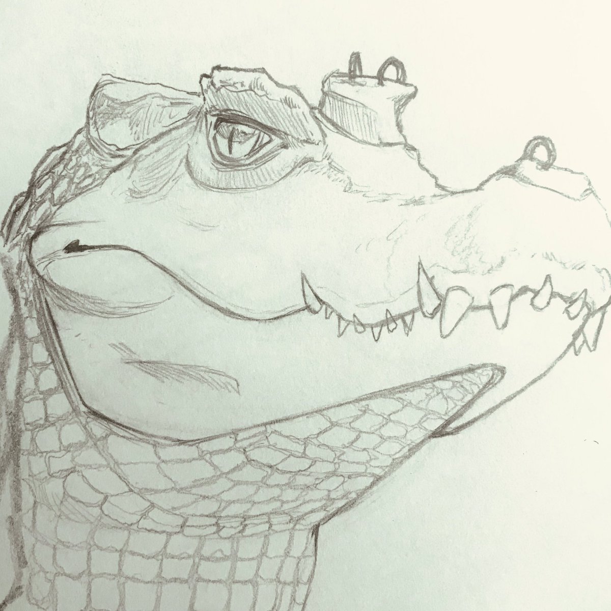 devrusaurus.bsky.social tweet media