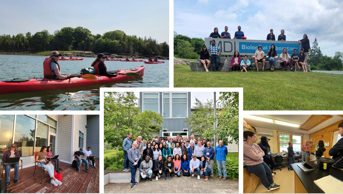 ShiuLab's tweet photo. @ShiuLab postdoc Dr. Hannah Northrup had an incredible week of #kidneycamp at #MDIBL with #ASNTREKS! This is a fantastic experience and we highly recommend it to the next generation kidney researchers! @ASNKidney @MDIBL #KidneyStar @UofUNephrology https://t.co/YbQgzzNzbe