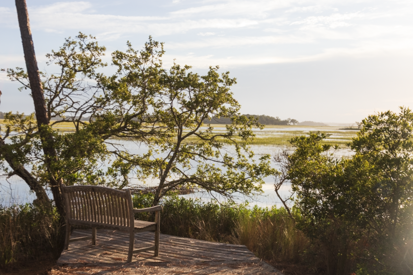 Golden hour on Kiawah is enough to take anyone's breath away. Where is your favorite spot to catch a sunset?

📷 Adam Wolf
#NaturallyKiawah #Kiawah #Wildlife #Nature #protectwhatyoulove