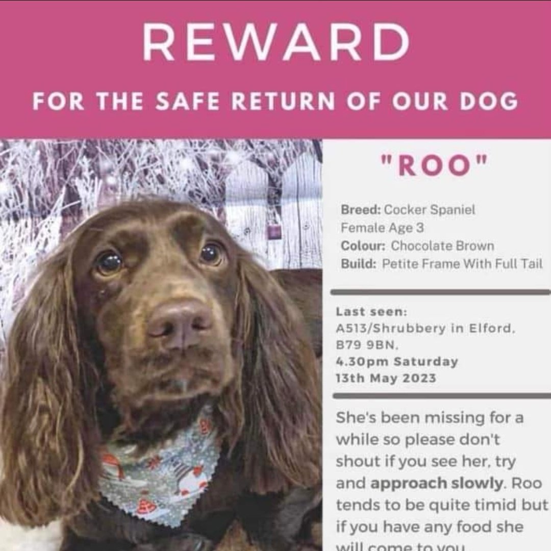 jwallerl's tweet photo. #NHS1000miles
#bringroohome
@bringroohome
Please help share to get this little girl home please 🙏 https://t.co/duWHkkNs3U
