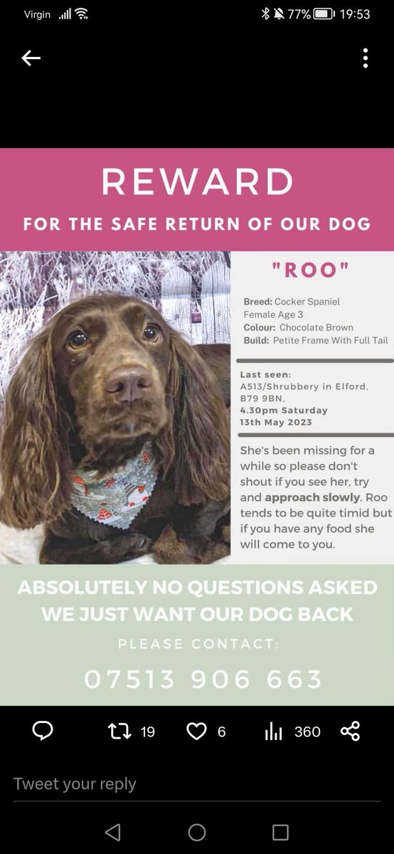 Murphymoo28's tweet image. #RickAstley
#bringroohome
@bringroohome
Please help share and bring this little girl home please 🙏