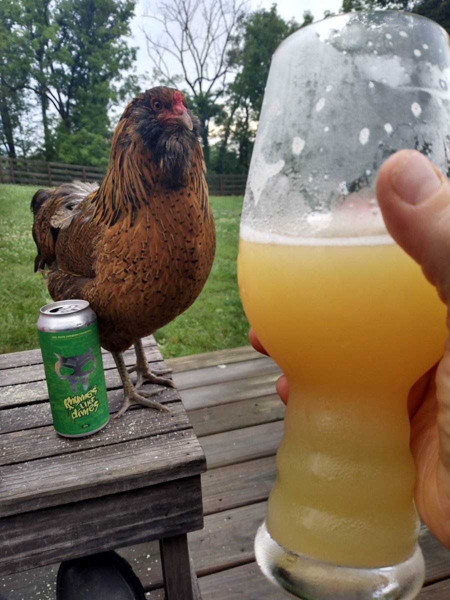 SueNelsonReilly's tweet photo. I've spent the last couple hours cutting branches and hauling them off to the edge of the property. I'm wiped out. Cracked my first beer... Cheers y'all. #grateful #xulbeer #knoxbeerforlife #chickenandbeer #girlsjustwannahavefun #soclose #lumi #luckygirl https://t.co/t8Y6gPS56y