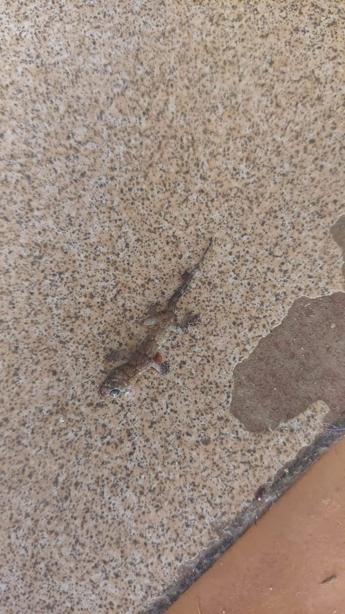 Le presté la llave del depto a un amigo y como al otro dia nadie sabía de él fui a ver si estaba bien
El depto en corto: