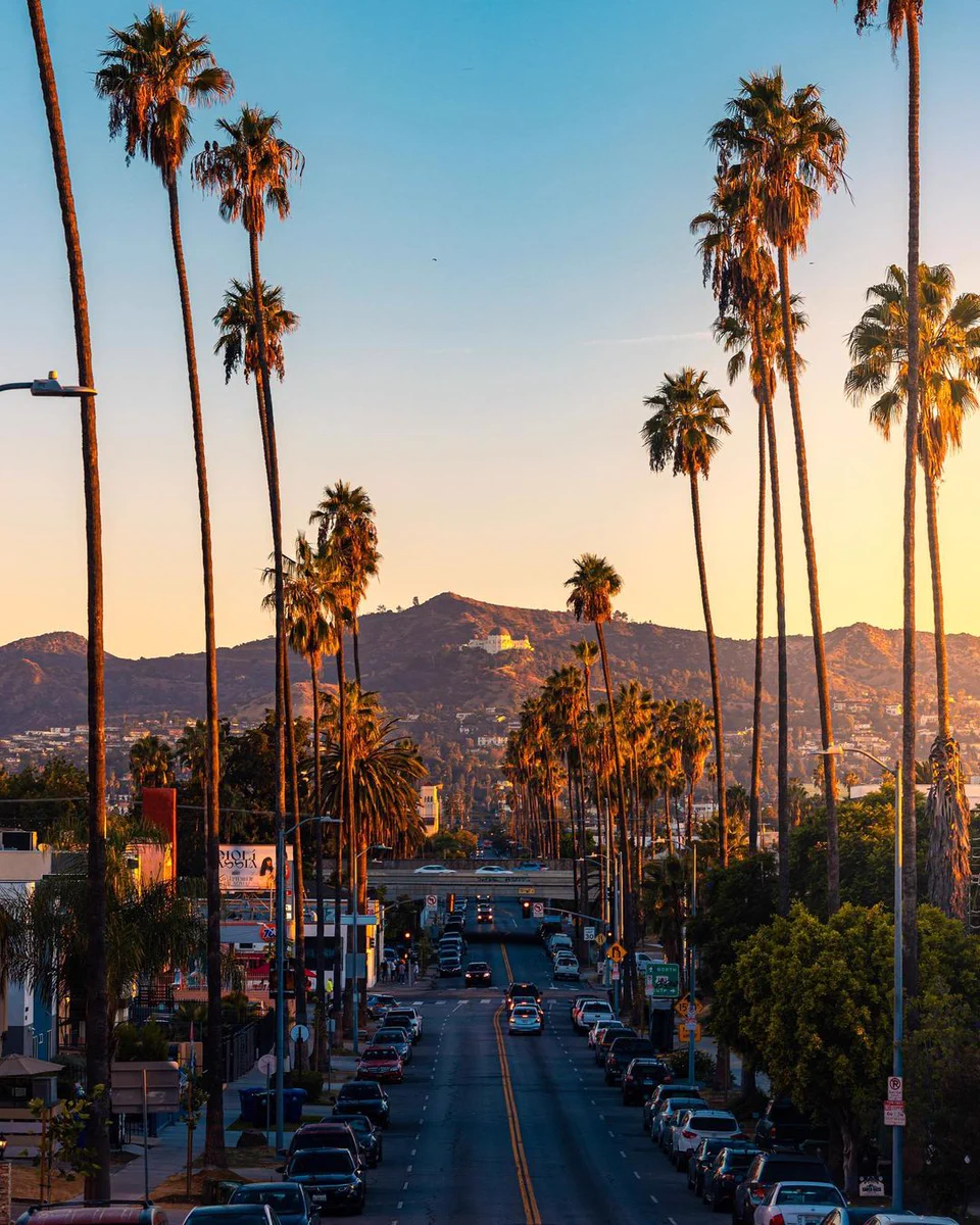 A sunrise in Los Angeles with palm trees lining the road. 