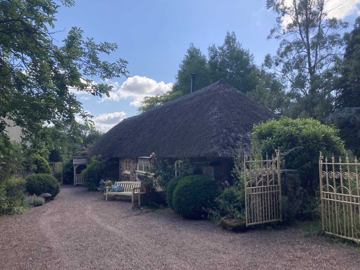 Apart from a greyhound with an upset tummy, Somerset is pretty lush. Looking forward to drinking some thunderously strong cider.