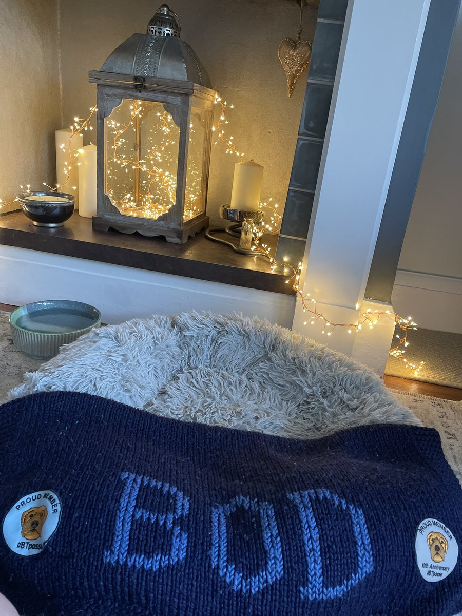 Bodskiboodle's tweet image. So dear #BTPosse pals 💙after fulfilling all my promises and serving a lifetime of duty, I have taken my leave this morning, as ever, on my own terms. I watched the sunrise, said my farewells, even to big hoosis who lives in Mexico, and have gone for a well deserved rest 🐾 🌈💙