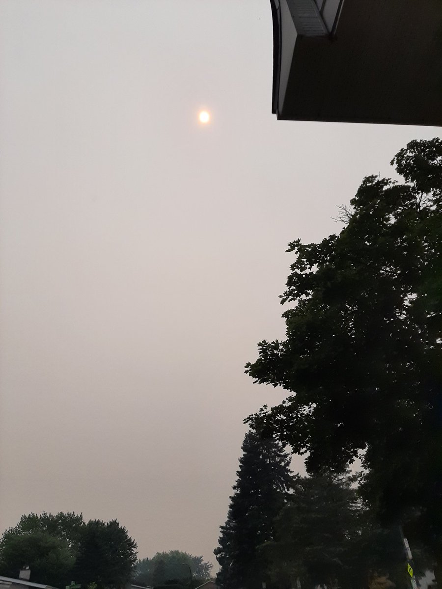 chaylattes's tweet photo. it's sunny outside. https://t.co/EvFpDrRY9y