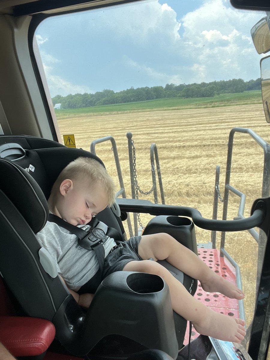 Bknight24Knight's tweet photo. Wheat harvest will wear a little farmer out #naptime https://t.co/NysS63k74h