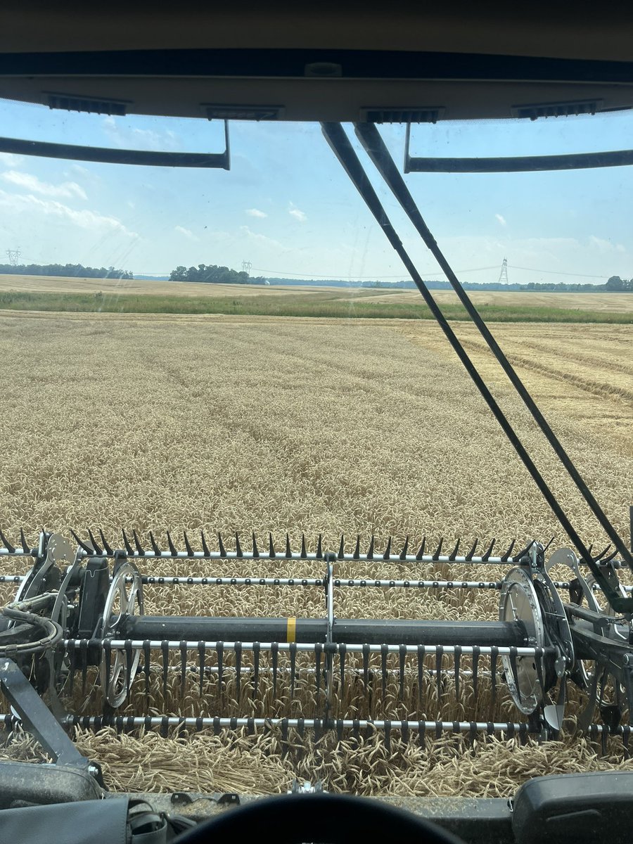 Bknight24Knight's tweet photo. Wheat harvest will wear a little farmer out #naptime https://t.co/NysS63k74h