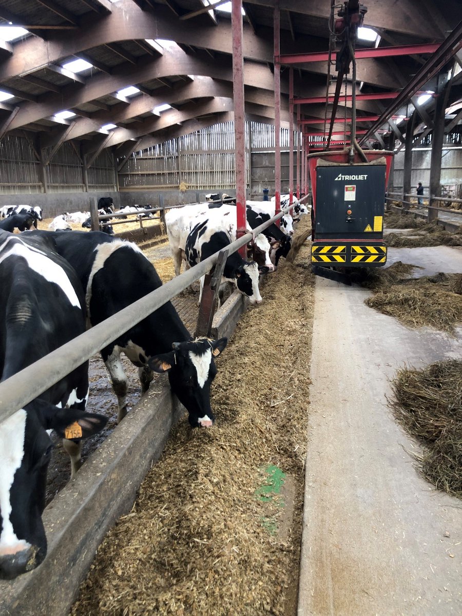 TriolietFR's tweet photo. Après plus de 10 ans à Tangry 🇫🇷, le GAEC DELATTRE s'appuie sur Trioliet et son Triomatic pour nourrir 350 vaches, dont 160 vaches laitières. Les principaux objectifs d'amélioration de l'efficacité alimentaire et de gain de temps ont été atteints. Lire l'histoire sur notre site. https://t.co/KJLuuu0UQm