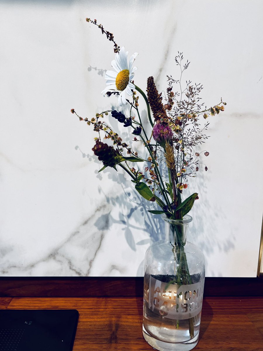 Louisheen's tweet photo. From my wild garden #wildflowerhour https://t.co/IbQJjD25cH