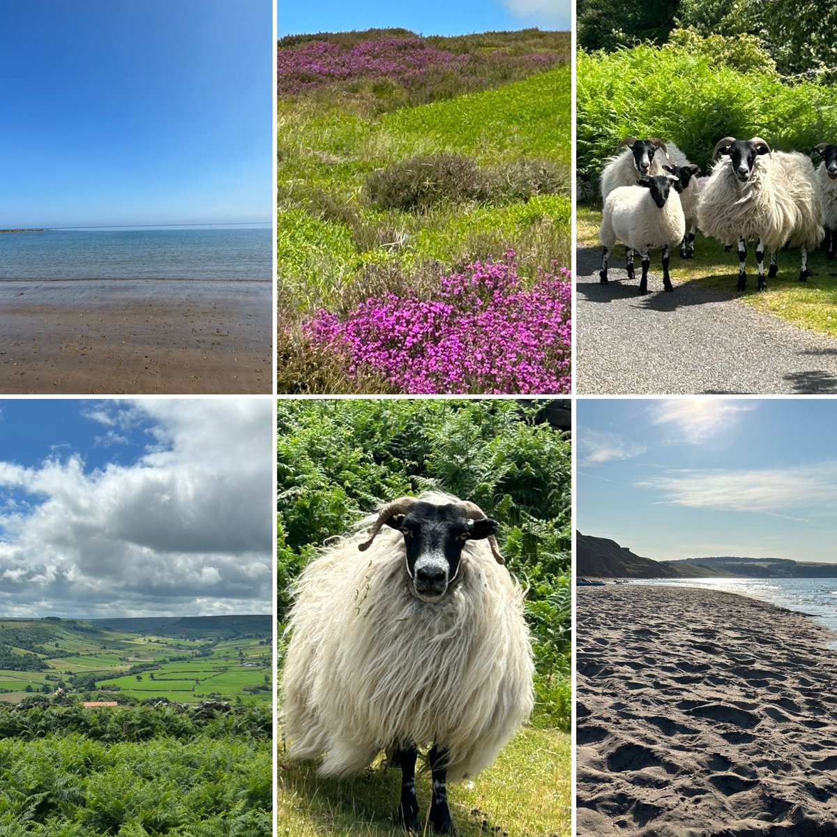 Few pics from this weekend #loveyorkshire 💙💚💜
