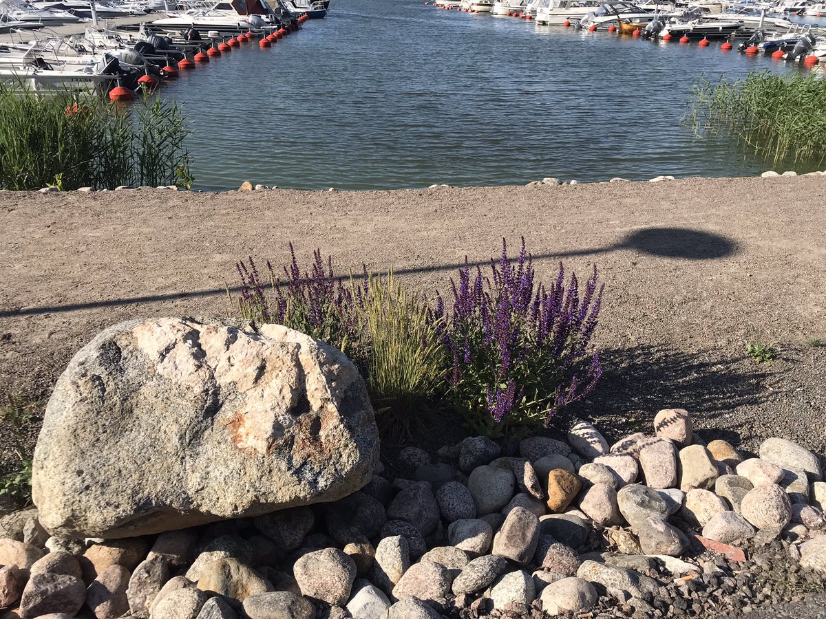 ullamiettunen's tweet photo. En fin dag i grannstaden idag. Äntligen precis perfekt temperatur. #rauma #raumo #unescoheritage https://t.co/CNZq8L1pbB