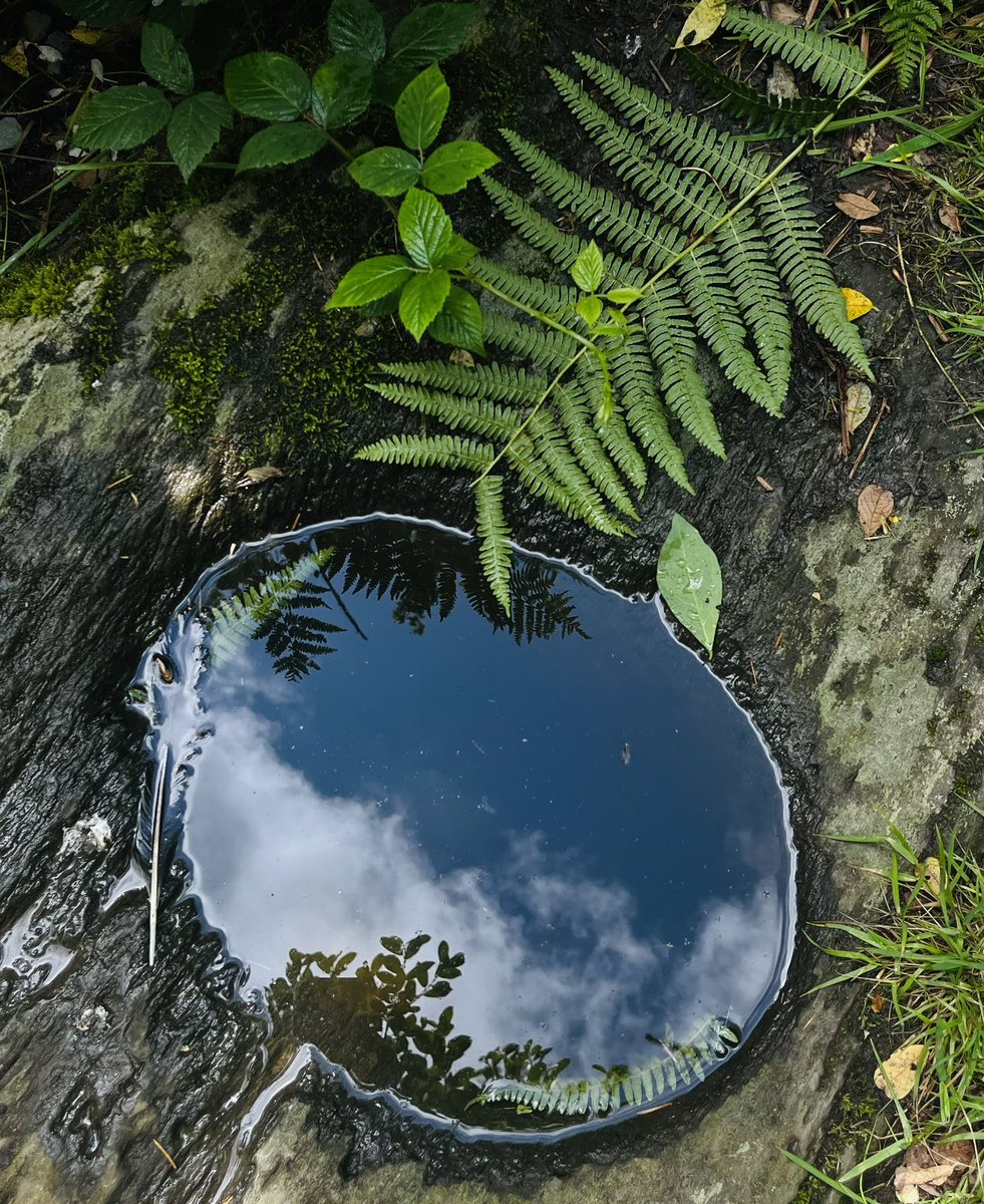 Natures mirror. #wellwellwell #castlefreke #westcork #areyawell