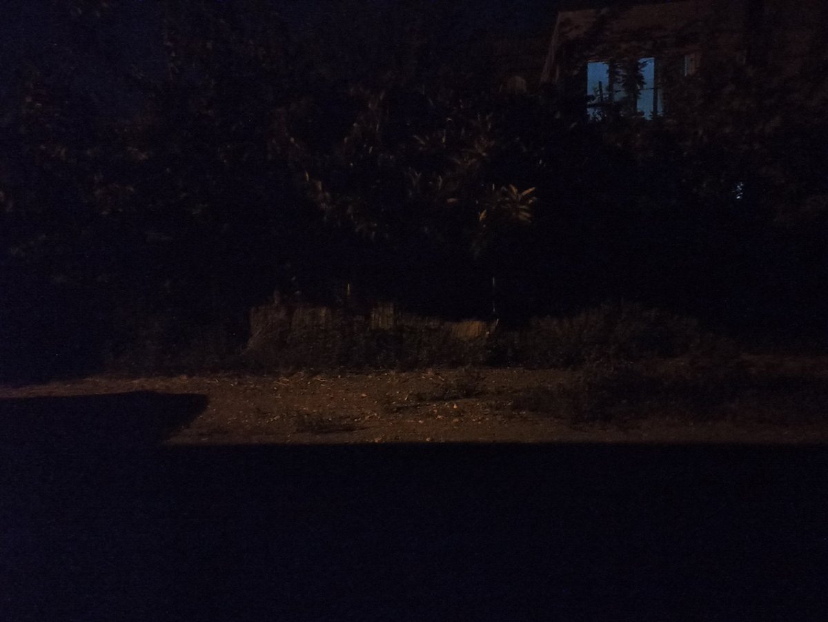 kadercetin112's tweet photo. Bir pencere kenarında.. https://t.co/UAR2R2XZ6B
