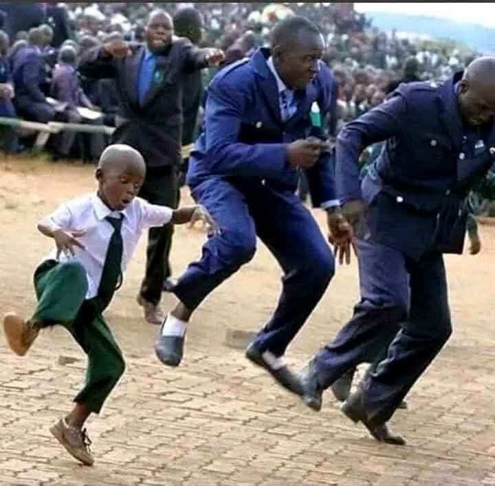 Malkia Nyuki 👑 tweet media