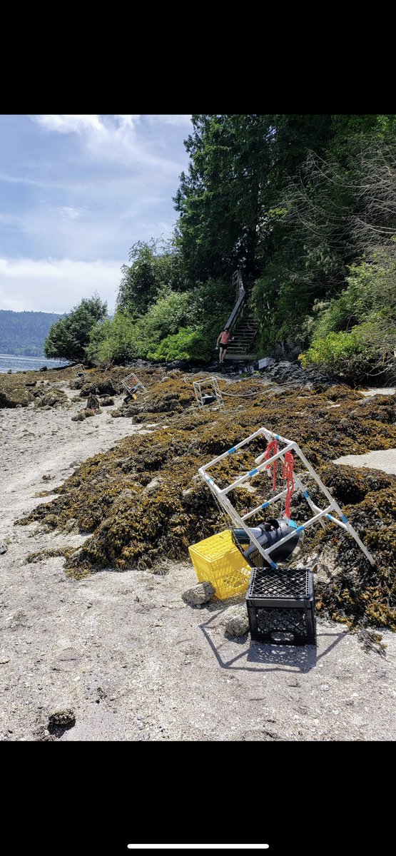 Sandra Emry tweet media