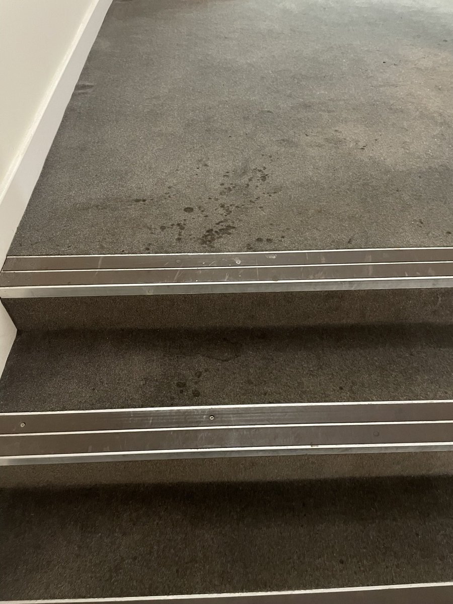 sumner_marc's tweet photo. @tinytwink @parkinn we had the pleasure of staying here earlier this year - after driving from Blackpool we arrived late, 3 suites, overlooking the pier. 2 nights B&amp;B £800 we slept in our clothes night one, complained next morning, full refund, booked into Hotel Camelia (highly recommended) 😤🤢 https://t.co/JzF73GhGG1