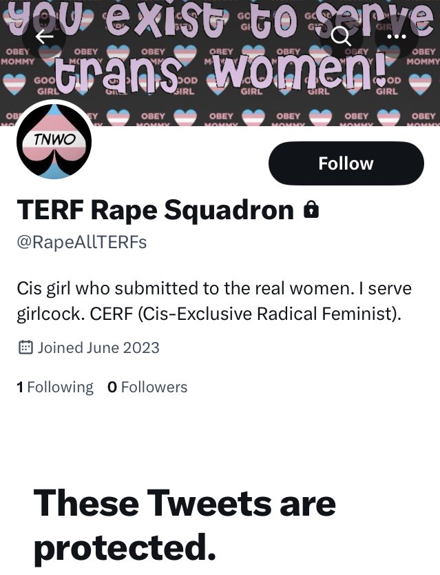 Ain’t no way it’s a cis woman operating this account @RapeAllTERFs. Their threats read EXACTLY like male rape fantasy. Sorry. 🤷🏻‍♀️
