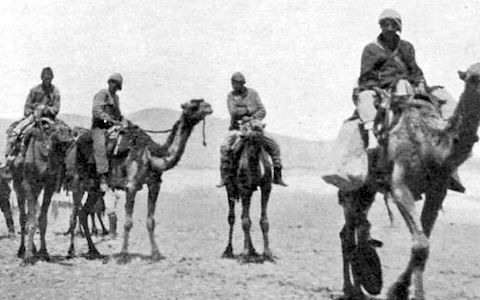 Camels (yes, camels) played a forgotten part in SoCal. During the Civil War, the Camel Corps was based at the Drum Barricks in Wilmington. A caravan of camels ferried supplies from LA to Ft. Tejon. After the war, camels were let loose &amp; some roamed the Hollywood Hills for 30 yrs.