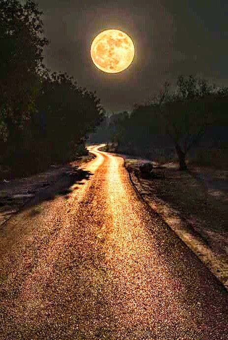guidopensieri's tweet photo. @liliaragnar @ailuig500sb @sdapi13 @dessere88fenice @falcionielide1 @corra_franco @angeleri_mauro @Devid43164770 @DocGio70 @Echecaxx @Elisa34012803 @MaryamSenada @jeegrobotz @VendutoCorrotto @Silvergio2377 @pester47 Alla leonessa Adry 👄
A tutti 🙋🙋🙋 https://t.co/pK3mdfjwM3