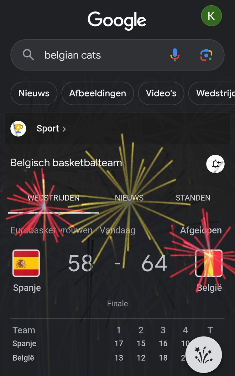 Belgian Cats googelen = vuurwerk 👌🏻
