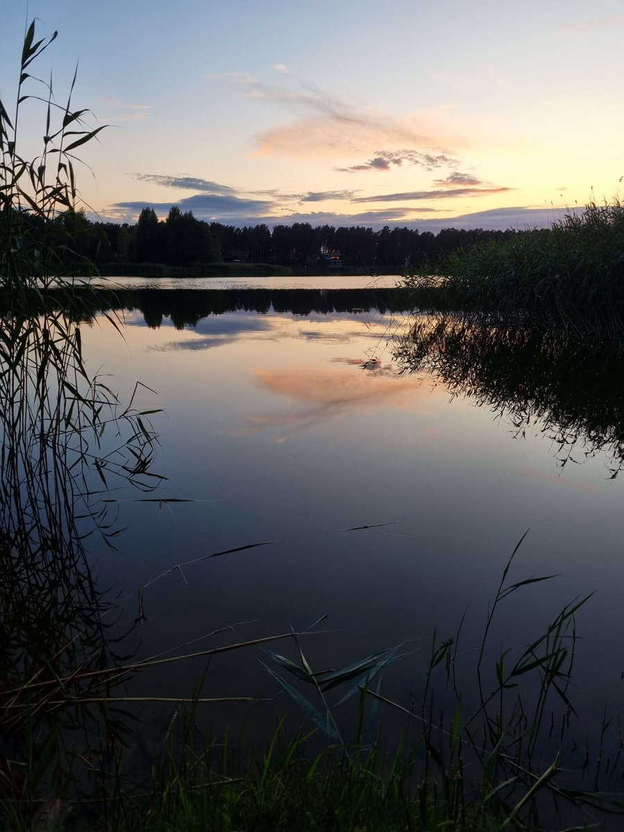 ryycicle's tweet photo. went on a walk and dis some brainstorming for a case quirk. Thinking the product needs to take a path for maximum customizability for anyone both asthetic and tehnical. Thinking about starting to stream the procces of working on the product. https://t.co/v4DrUOmytf