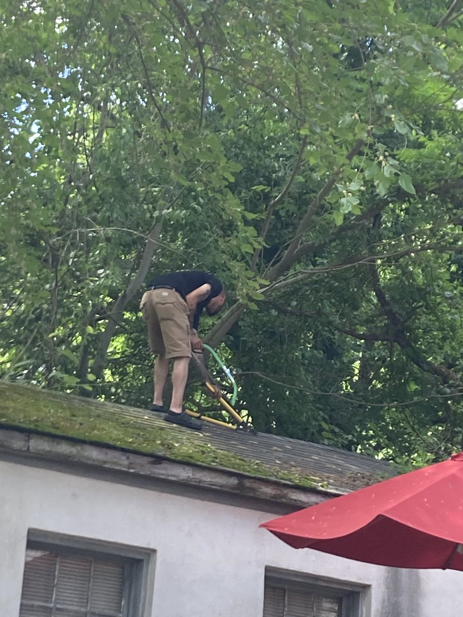 Building a house for some fairies 🧚‍♀️

#summerSTEM