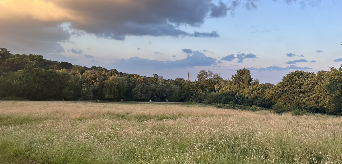 Sunny evening, Hampstead Heath.☀️

#HampsteadHeath 
#NorfLunden 
#LondonNationalParkCity