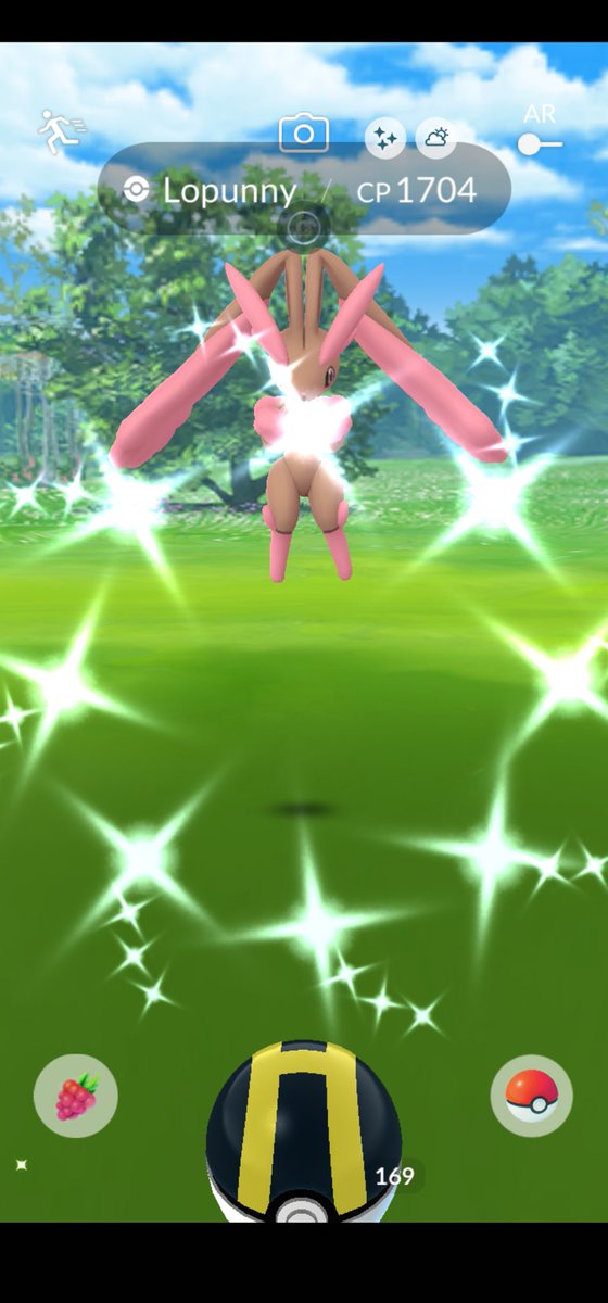 Woah!
Wild shiny Lopunny!!!