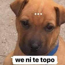 ⚫🥷🏿 tweet media