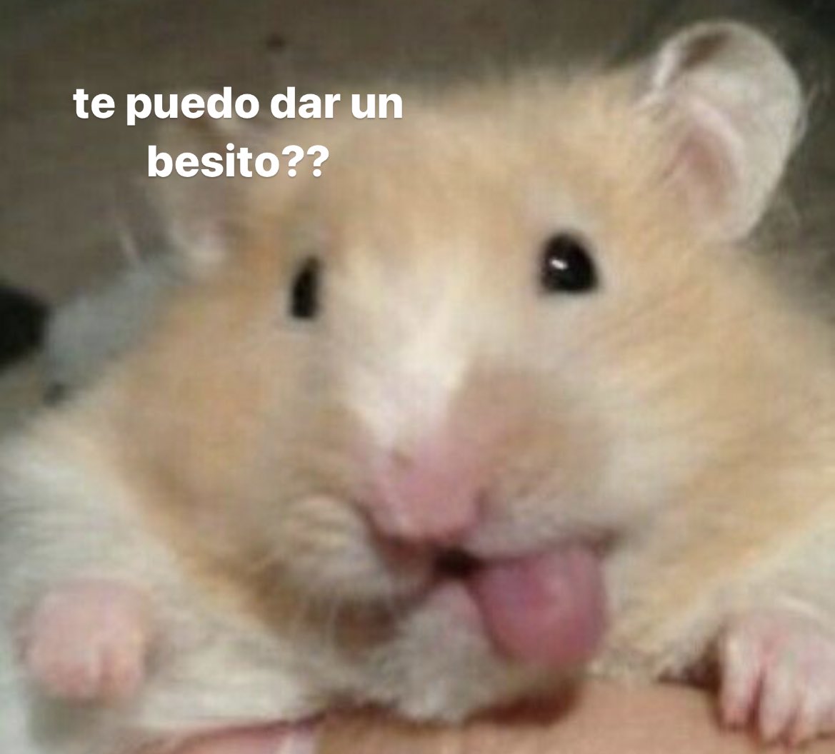 científicos: el alcohol pone violentos a los jóvenes 

yo borracha: