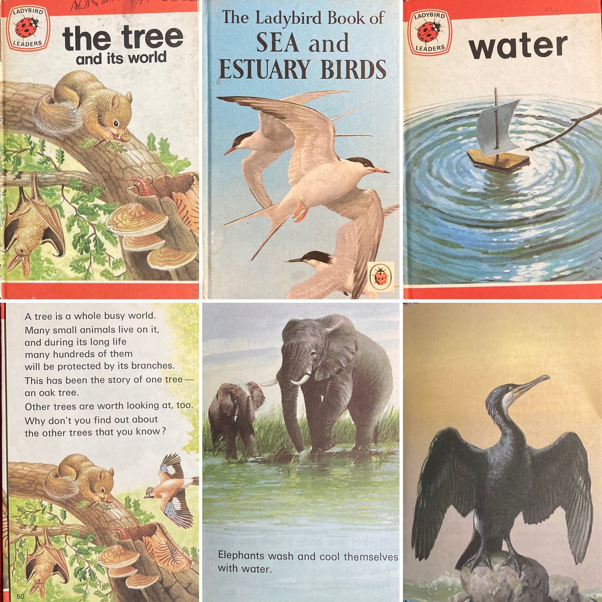 …Poets will read from a recent anthology that covers ocean pollution, rainforest reduction and global warming.

#poetry #livlitcycle #liverpoolreads #liverpoolwrites #liverpoolspeaks #ladybirdbooks