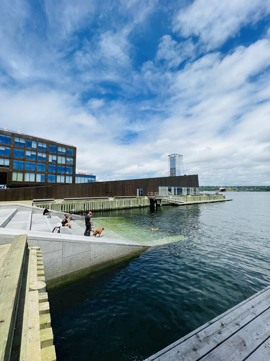 Edel_PLopez's tweet image. Day 1 at #CSM2023 - @CSM2023_Halifax and loving it as much as I’m loving Halifax 🌊🦞

In person conferences will always be incredible!