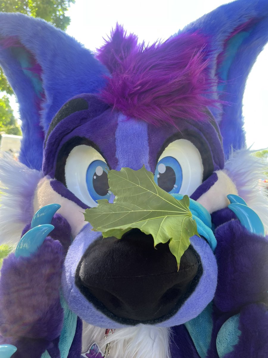 Leef 🍁 
.
💜 @yeenhaze 
✂️ @MoreFurLess 
.
.
#pride #pridemonth #happypride #happypridemonth #denverpride #prideparade #mfl #morefurless #fursuit #fursuiters