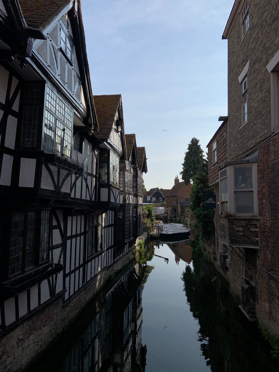 Luke McGuire tweet media