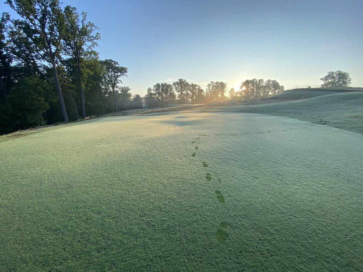 Mark Harrison tweet media