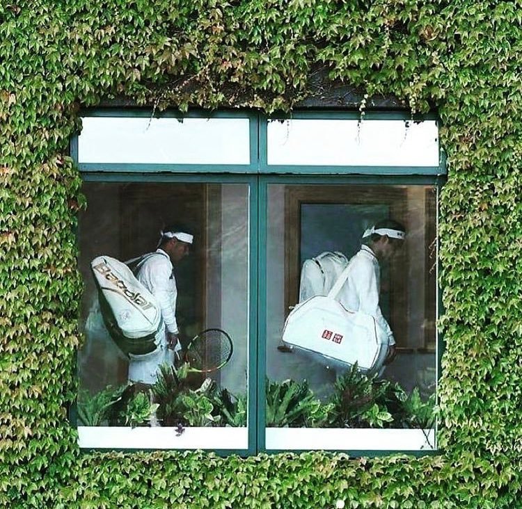 gigicat7_'s tweet photo. Wimbledon 2019. ICONIC ♥️ https://t.co/fxSWUYY63o