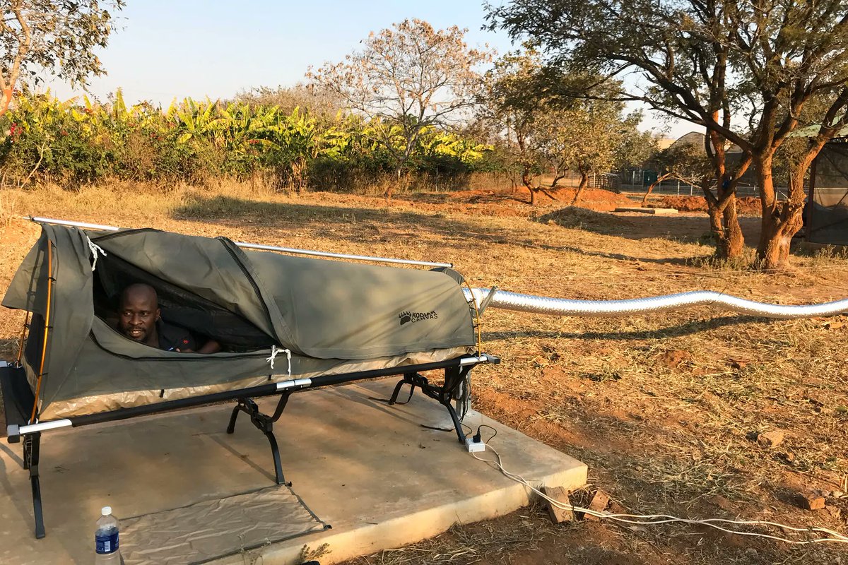 Johns Hopkins Malaria Research Institute (@jhmrimalaria) on Twitter photo Great article by <a href="/nytimes/">The New York Times</a> <a href="/EmilyAnthes/">Emily Anthes</a> on <a href="/JHMRImalaria/">Johns Hopkins Malaria Research Institute</a>'s <a href="/McMenimanLab/">McMeniman Lab</a>'s results from novel research creating enormous flight cage at Macha Research Trust (MRT), Zambia. Features MRT's administrative director, Chris Book too: link here tinyurl.com/4hctd4m2 <a href="/JohnsHopkinsSPH/">Johns Hopkins Bloomberg School of Public Health</a> Great article by <a href="/nytimes/">The New York Times</a> <a href="/EmilyAnthes/">Emily Anthes</a> on <a href="/JHMRImalaria/">Johns Hopkins Malaria Research Institute</a>'s <a href="/McMenimanLab/">McMeniman Lab</a>'s results from novel research creating enormous flight cage at Macha Research Trust (MRT), Zambia. Features MRT's administrative director, Chris Book too: link here tinyurl.com/4hctd4m2 <a href="/JohnsHopkinsSPH/">Johns Hopkins Bloomberg School of Public Health</a>