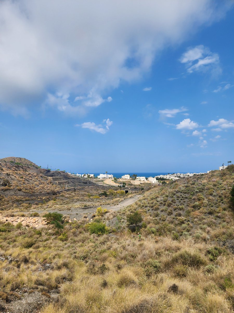 Alexandria Thomsen tweet media