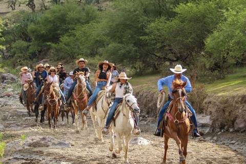 ElSoldelCentro_'s tweet image. #turismo | #2HORAS | El Recorrido por Rancho Xotolar en #sanmigueldeallende te hará sentir como en el #viejooeste 🐎👩‍🌾

¿Conocías esta experiencia? aquí los detalles⬇
n9.cl/kqo0h