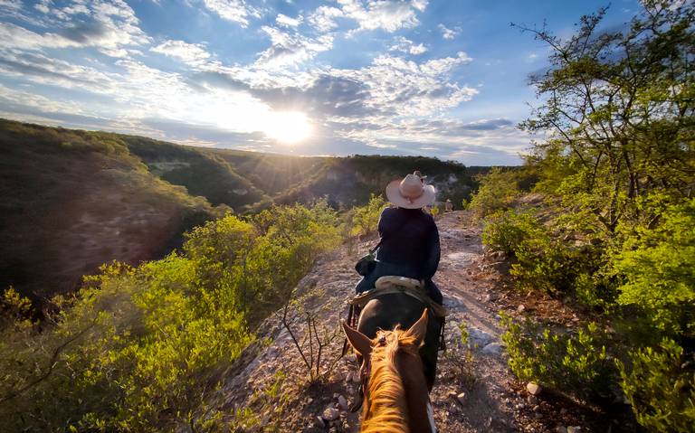 ElSoldelCentro_'s tweet image. #turismo | #2HORAS | El Recorrido por Rancho Xotolar en #sanmigueldeallende te hará sentir como en el #viejooeste 🐎👩‍🌾

¿Conocías esta experiencia? aquí los detalles⬇
n9.cl/kqo0h