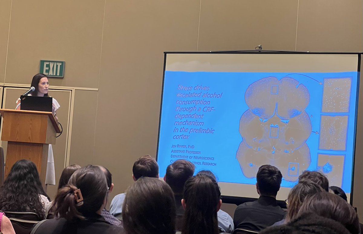 MulhollandLab's tweet image. .@DrJRink presenting her lab’s work on cortical CRF and alcohol-stress interactions now at #rsa2023 @RSAposts @charlestonarc @neuro_MUSC