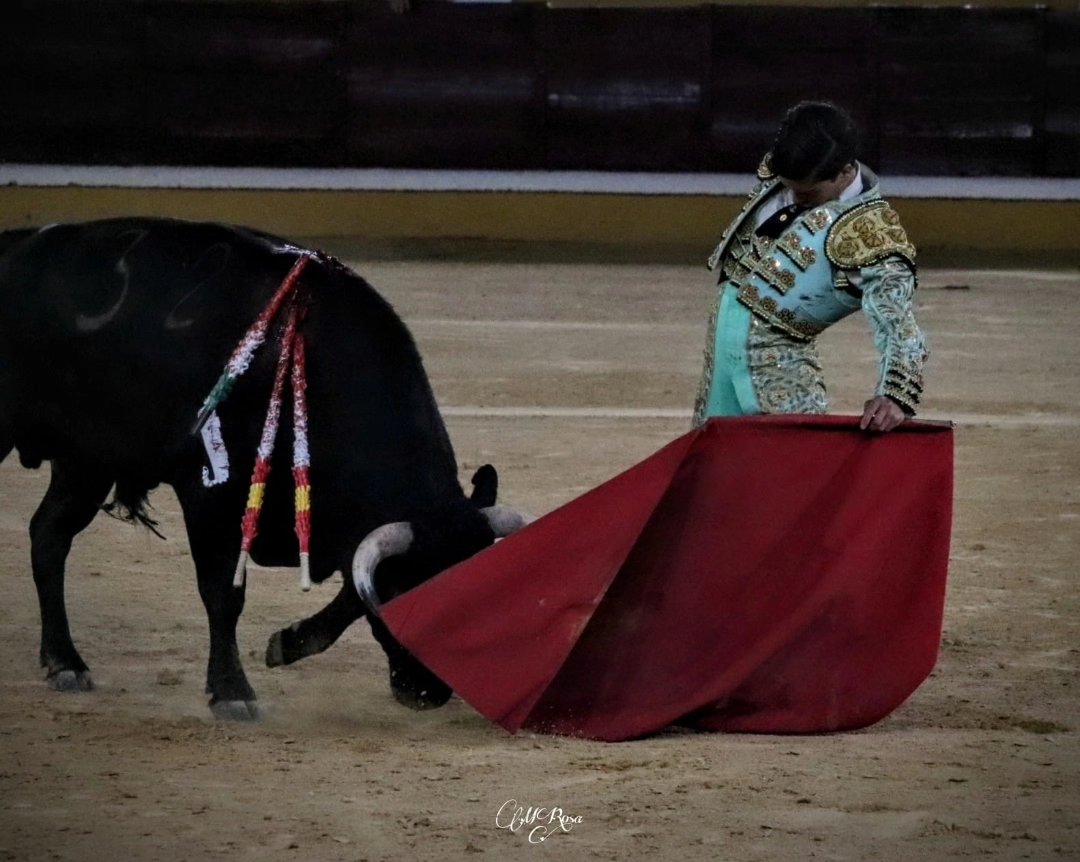 afitauro's tweet photo. @mar_toros @MaraRos24923996 @donaire_j @aadrianmonroy 🏟 Badajoz | Directo
 
6️⃣ Oreja para @manuel_leon_19 que a la postre le hace vencedor del capote de paseo que ha donado para la ocasión el banderillero "Pilo"

@mar_toros

📷 @MaraRos24923996 https://t.co/epSi5DRI1C