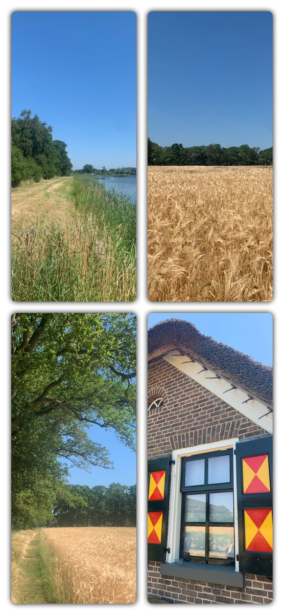 Zo mooi en zo dichtbij …… #Holthone #wandelen #grootescheere #Vechtdal 😎☀️👍